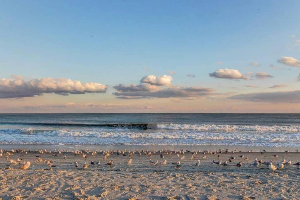 *Renovated Oceanfront Condo*Queen Beds*Pools*Hot Tubs*More*P220 Myrtle Beach Extérieur photo
